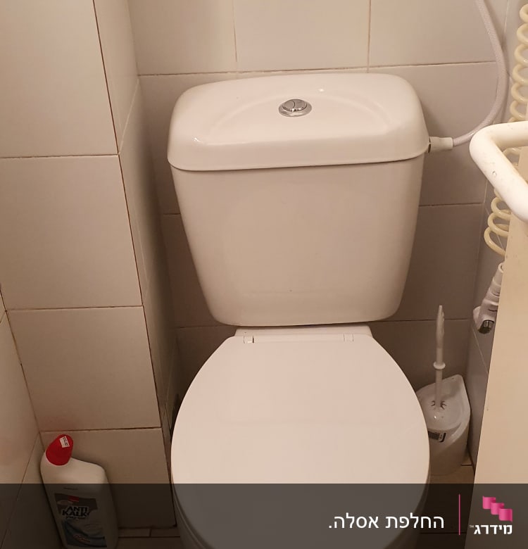 אסלה עם מברשת ניקוי וחומר ניקוי בצד